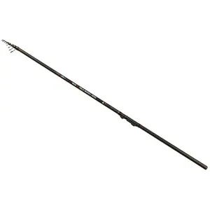 Carp Expert Canne Match Max 2 Tele pas cher