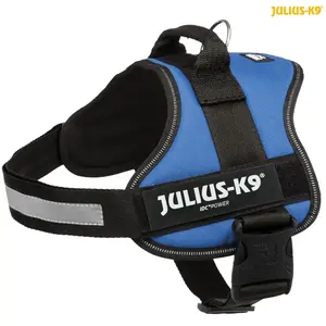 Comparateur de prix : Harnais Robuste Julius K9 Bleu Pour Grands Et Moyens Chiens