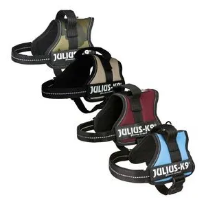 Comparateur de prix : Harnais Power Julius-K9, Baby 2/Xs S: 33 45 Cm, Noir - 15000 - Julius