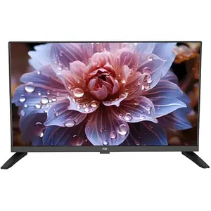 Téléviseur LED NEI 24NE4001, HD Ready, sans bordure, 60 cm, Classe E, ... pas cher
