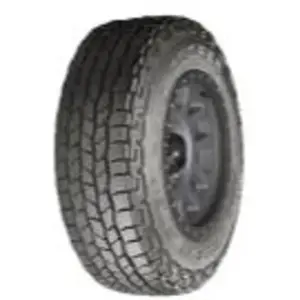 Pneus toutes saisons Cooper Discoverer AT3 LT ( 265/70 R17 121/118S 10PR OWL DOT2022 ) pas cher
