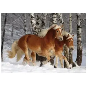 DToys Puzzle 239 pièces - Magie des chevaux : Cheval Haflinger III pas cher