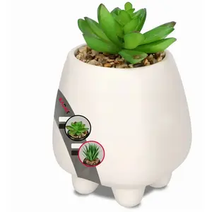 Kadax - Plante à fleurs artificielles décorative succulente 10,5 cmVendu paramazon