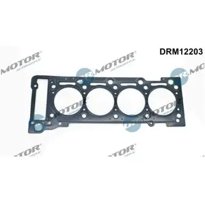 DR.MOTOR AUTOMOTIVE DRM12203 Joint De Culasse Épaisseur: 1,20mm pas cher