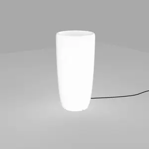 Euluna Lampe décorative Flowerpot M avec prise pas cher