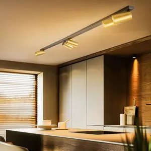 Comparateur de prix : Euluna Spot pour plafond Mono VI noir/laiton, à 6 lampes