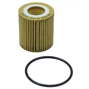 Maxgear Filtre à huile 262024 pas cher