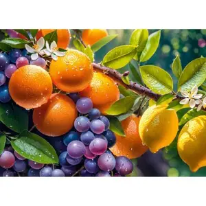 CherryPazzi Puzzle 1000 pièces : Fruits ensoleillé pas cher