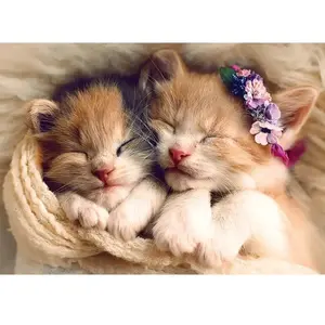 Trefl Puzzle 500 pièces : Chatons endormis
