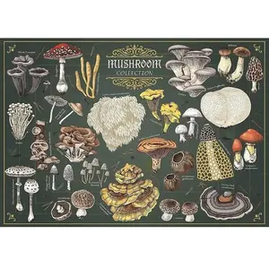 Trefl Puzzle 500 pièces : Trouvé, c'est gardé - Champignon pas cher