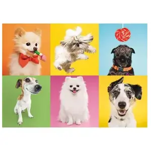 Trefl EA Puzzle, Chiens, 500 Pièces, Qualité Premium, pour Adultes et Enfants à partir de 10 Ans, 37378