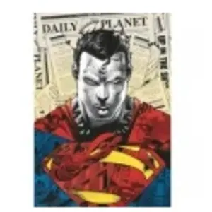 Trefl Puzzle 1000 pièces Premium Plus : Superman / Warner Superman