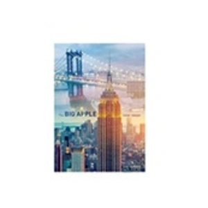 Puzzle 1000 Pièces : New York à l'Aube, Trefl