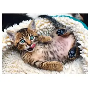 Comparateur de prix : Trefl 916 10448 EA 1000pcs Kitten, Coloured, Chat Joyeux
