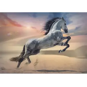 Trefl Cheval majestueux 1000 Pièces DIY avec Animaux, Divertissement créatif, Loisir, Puzzle Classiques pour Les Adultes et Les Enfants à partir de 12 Ans, 10790, Multicolour