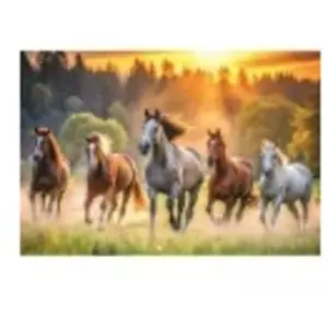 Trefl Puzzle 1500 pièces : Chevaux sauvages