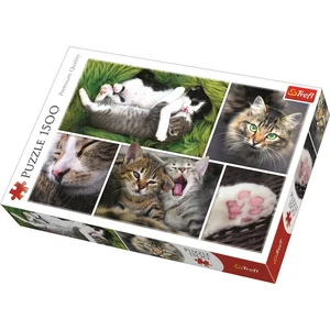 Puzzle 1500 Pièces : Collage - Chats, Trefl