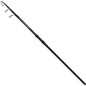 Mikado Canne Carpfishing Intro Ii Tele