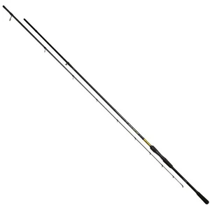 Mikado Canne Spinning Intro