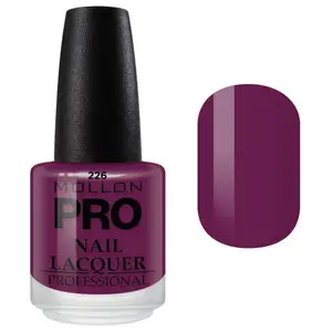 Vernis Classique 15 ml Mollon Pro Bordeaux - 226 pas cher