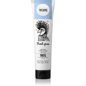 Yope Fresh Grass après-shampoing pour cheveux gras 170 ml pas cher