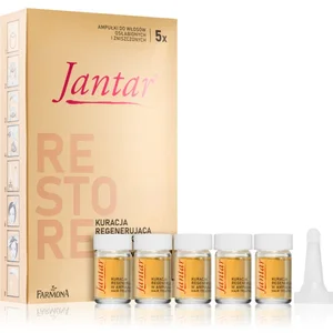 Farmona Jantar Amber Essence soin réparateur de cheveux abîmés 5x5 ml pas cher