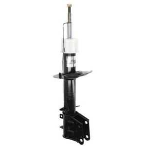 Amortisseur MAGNUM TECHNOLOGY AGF100MT pas cher