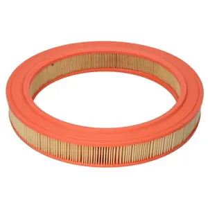 Filtre à air FILTRON AR210 pas cher