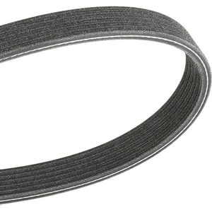 Courroie trapézoïdale à nervures DAYCO 6PK1195 pas cher