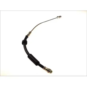 Flexible de frein ABE C87196ABE, droite pas cher