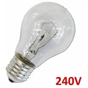 Ampoule incandescente standard claire 100W E27 240V EDM 35103Vendu parampoulepascher