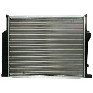 Radiateur, refroidissement moteur THERMOTEC D7B029TT pas cher