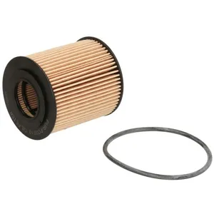 Filtre à huile PURRO PUR-PO3010 pas cher