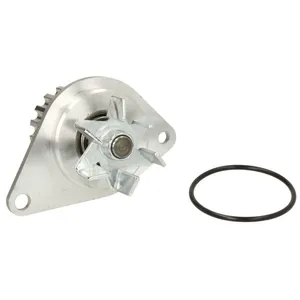 Pompe à eau THERMOTEC D1P038TT pas cher