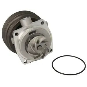Pompe à eau THERMOTEC D1F070TT pas cher