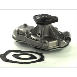 Pompe à eau THERMOTEC D1R003TT pas cher