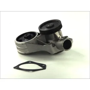 Pompe à eau THERMOTEC D1S004TT pas cher