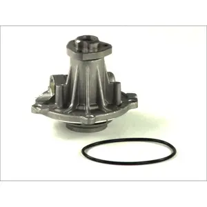 Pompe à eau THERMOTEC D1W026TT pas cher