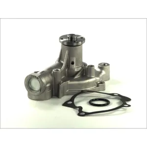 Pompe à eau THERMOTEC D15030TT pas cher