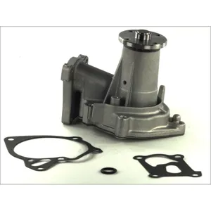 Pompe à eau THERMOTEC D15029TT pas cher