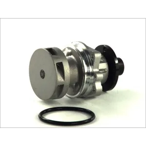 Pompe à eau THERMOTEC D1B018TT pas cher