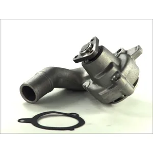 Pompe à eau THERMOTEC D1G039TT pas cher