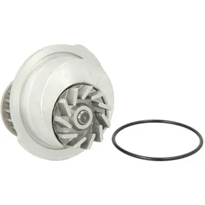Pompe à eau THERMOTEC D1X012TT pas cher