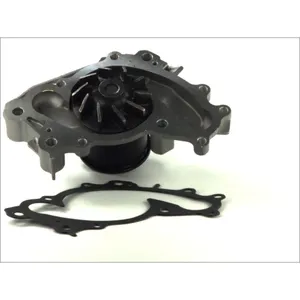 Pompe à eau THERMOTEC D12070TT pas cher