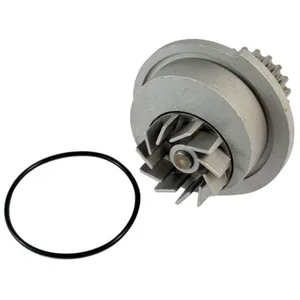 Pompe à eau THERMOTEC D10007TT pas cher