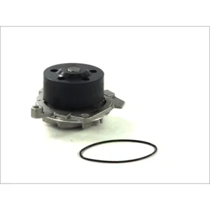 Pompe à eau THERMOTEC D1D019TT pas cher