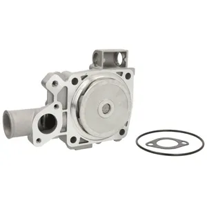Pompe à eau THERMOTEC D1F009TT pas cher
