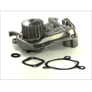 Pompe à eau THERMOTEC D13009TT pas cher