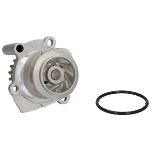 Pompe à eau THERMOTEC D1W037TT pas cher