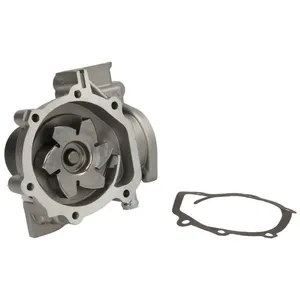 Pompe à eau THERMOTEC D17007TT pas cher